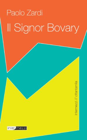 Copertina del libro Il signor Bovary di Paolo Zardi, pubblicato da Intermezzi Editore.