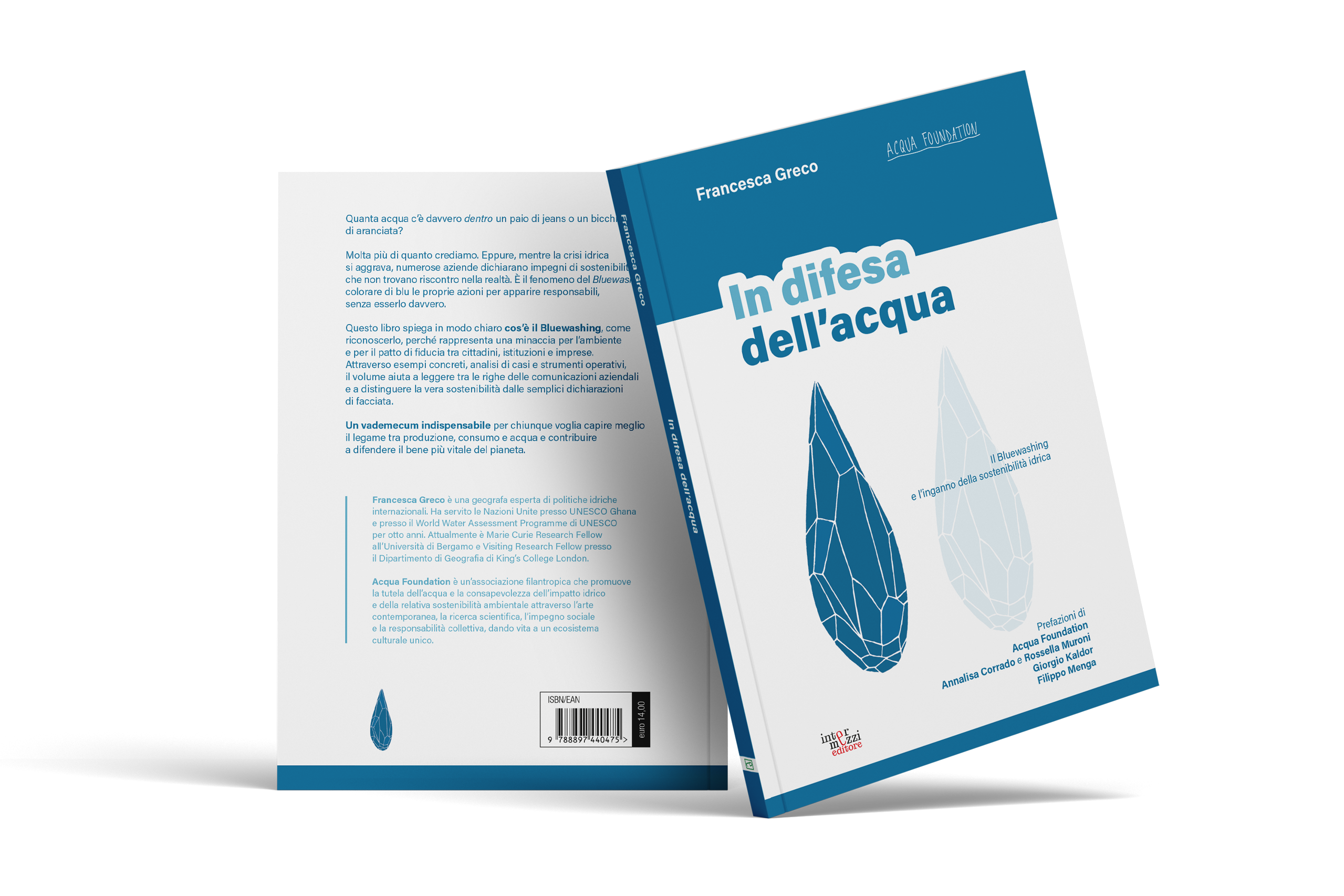 Copertina e quarta di copertina del libro In difesa dell’acqua di Francesca Greco, pubblicato da Intermezzi Editore.